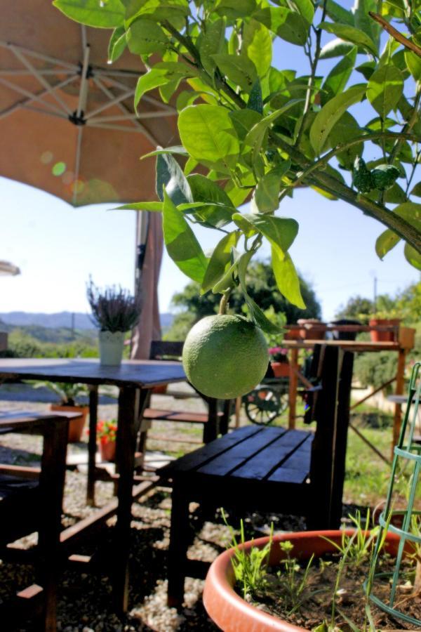 Serendipity House B&B Terranuova Bracciolini Exterior foto